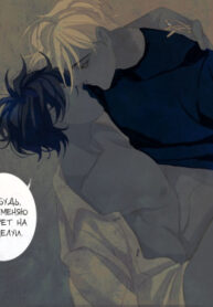 Cover 71116