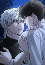 Cover 71143