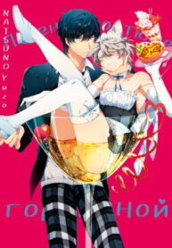 Cover 71196