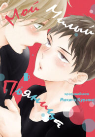 Cover 71204