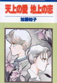 Cover 71307