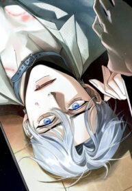 Cover 71385
