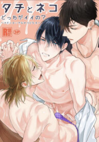 Cover 71387