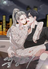 Cover 71431