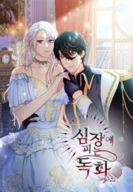 Cover 71441