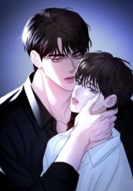 Cover 71504