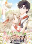 Cover 71856