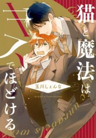 Cover 72044