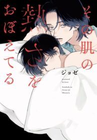Cover 72133