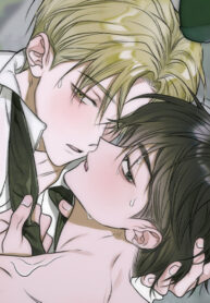 Cover 72250