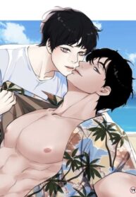 Cover 72475