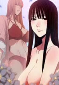 Cover 72576