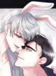 Cover 72578