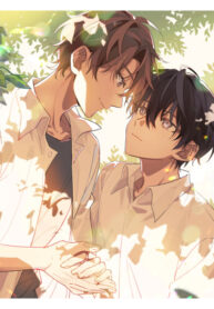 Cover 72668