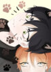 Cover 72803