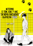 Cover 72900