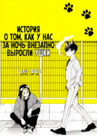 Cover 72900