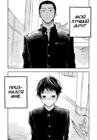 Cover 73105