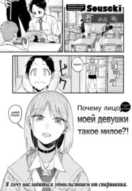 Cover 73266