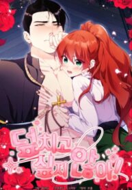 Cover 73294