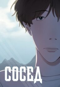 Cover 73441