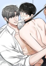 Cover 73717