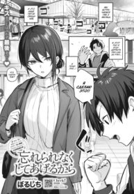 Cover 73811