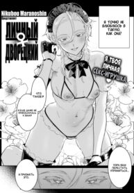 Cover 73827
