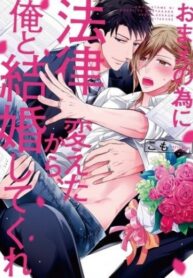 Cover 73839