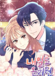 Cover 73911