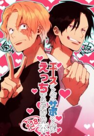 Cover 73945