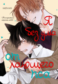 Cover 73979
