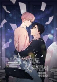 Cover 74101