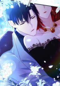 Cover 74243