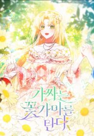 Cover 74627