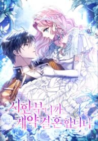 Cover 74635