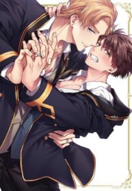 Cover 74782
