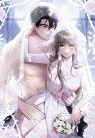 Cover 74825