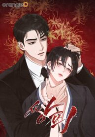 Cover 75042