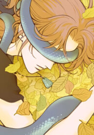 Cover 75196