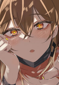 Cover 75224