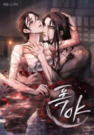 Cover 75240