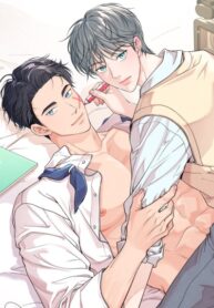 Cover 75253
