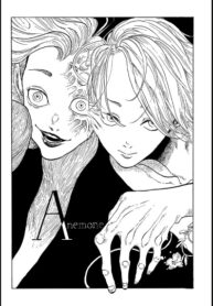Cover 75257