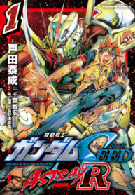 Cover 75277