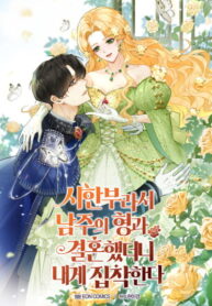 Cover 75295