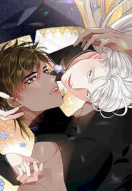 Cover 75466