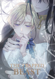 Cover 75499