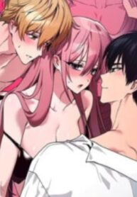 Cover 75578