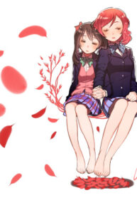 Cover 75975